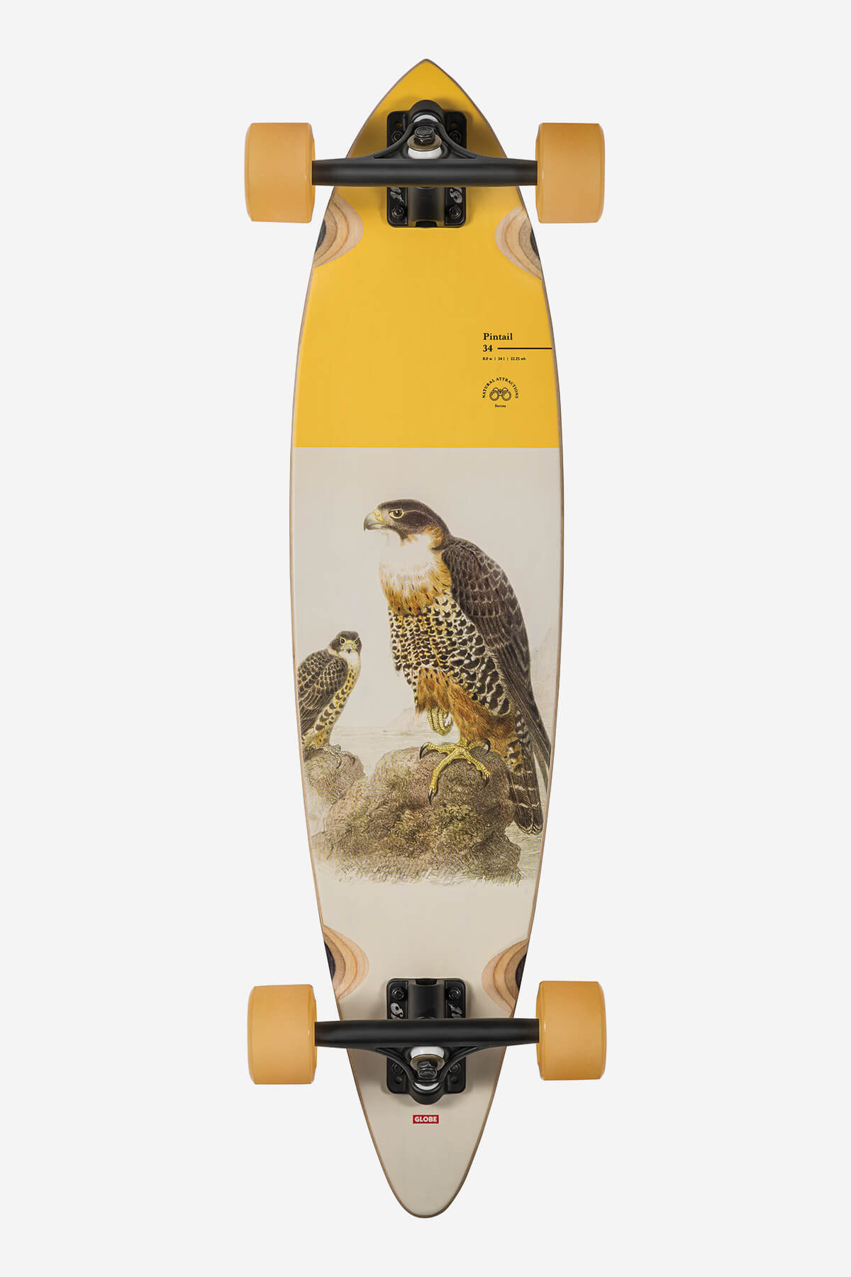 globe-pintail-34-longboard-falcon image 1