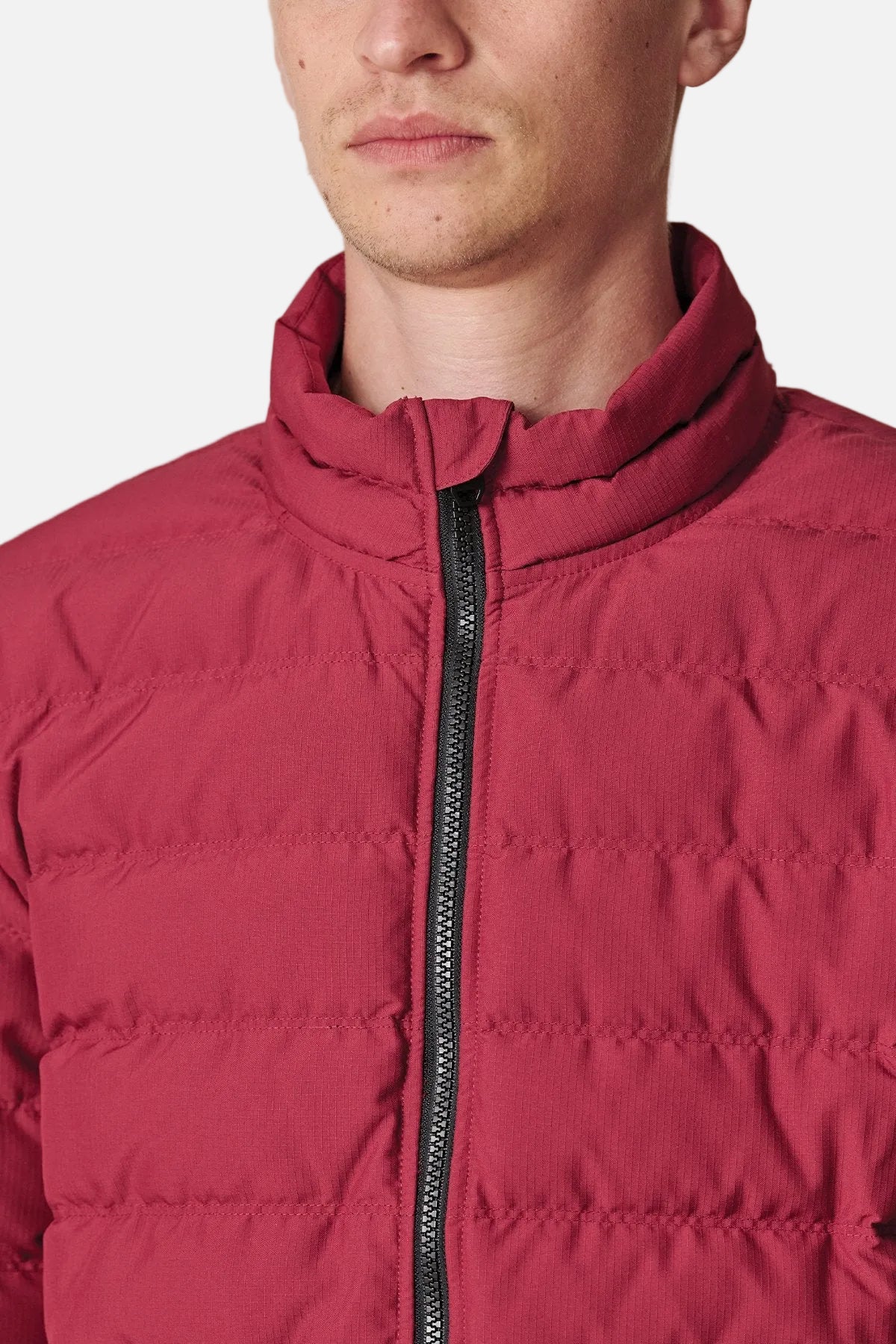globe-prime-piumino-uomo-rhubarb image 3