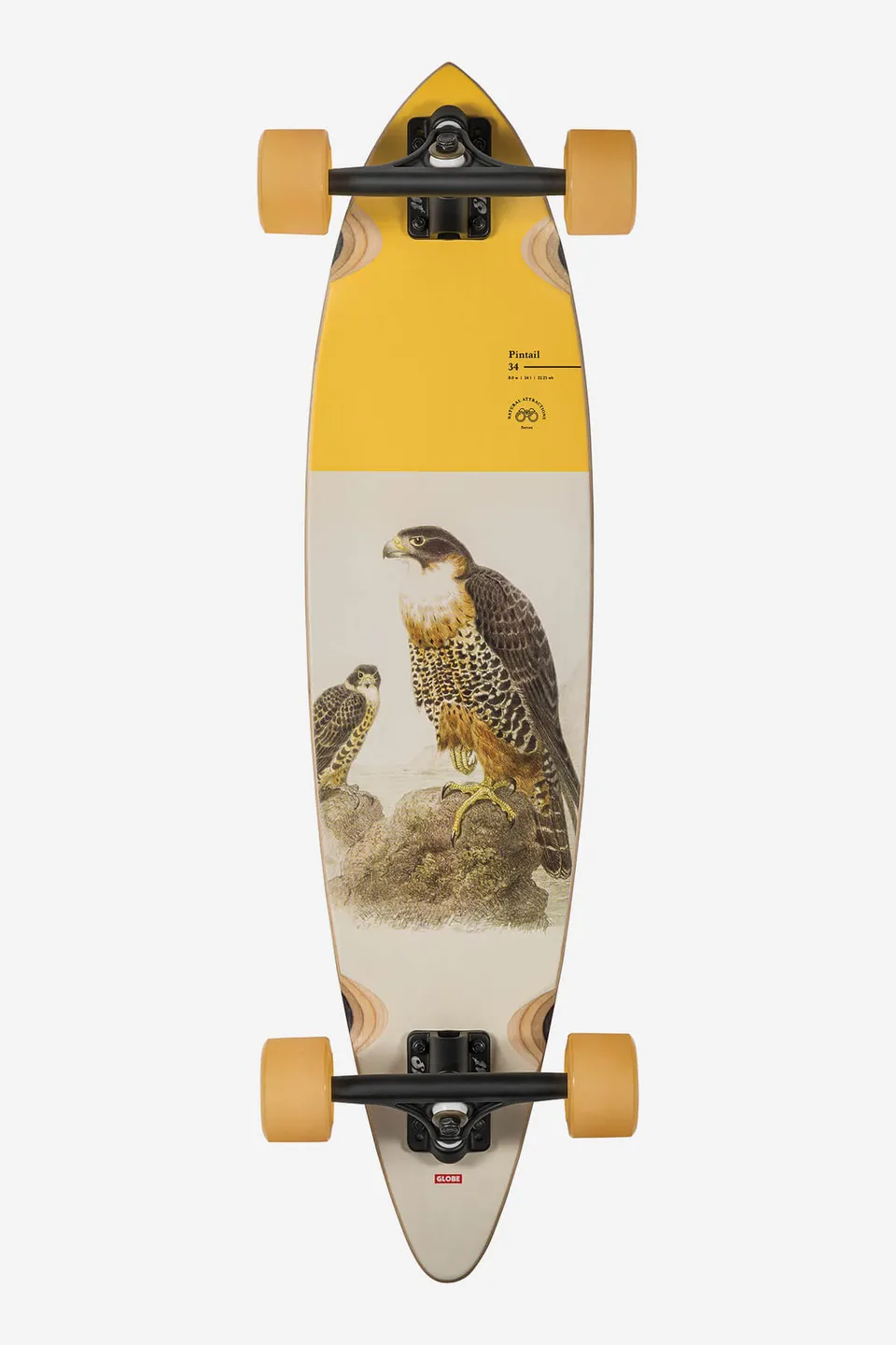 globe-pintail-34-longboard-falcon image 1