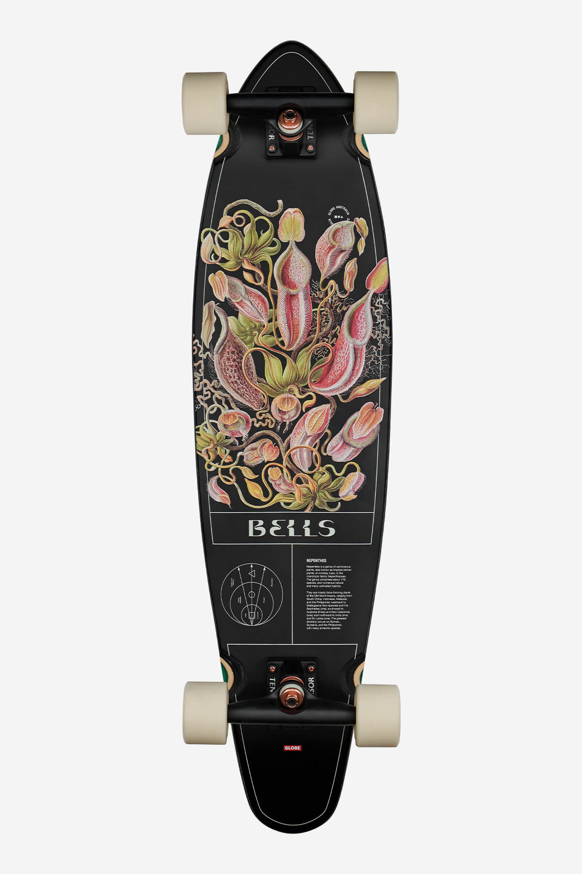 globe-bells-34-longboard-pitcher-8-5 image 1