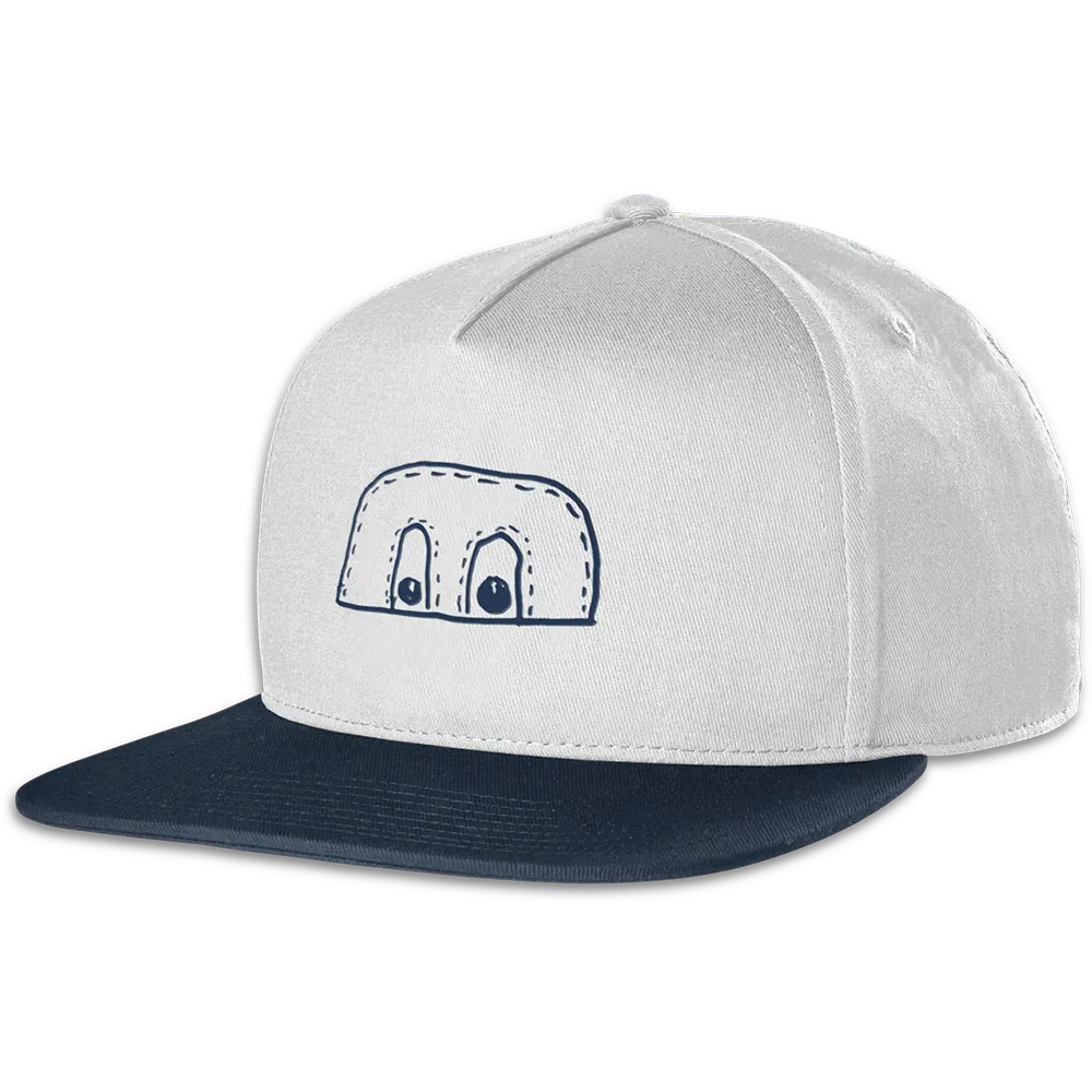 etnies-x-fos-snapback-cappellino-skate-white-navy image 1