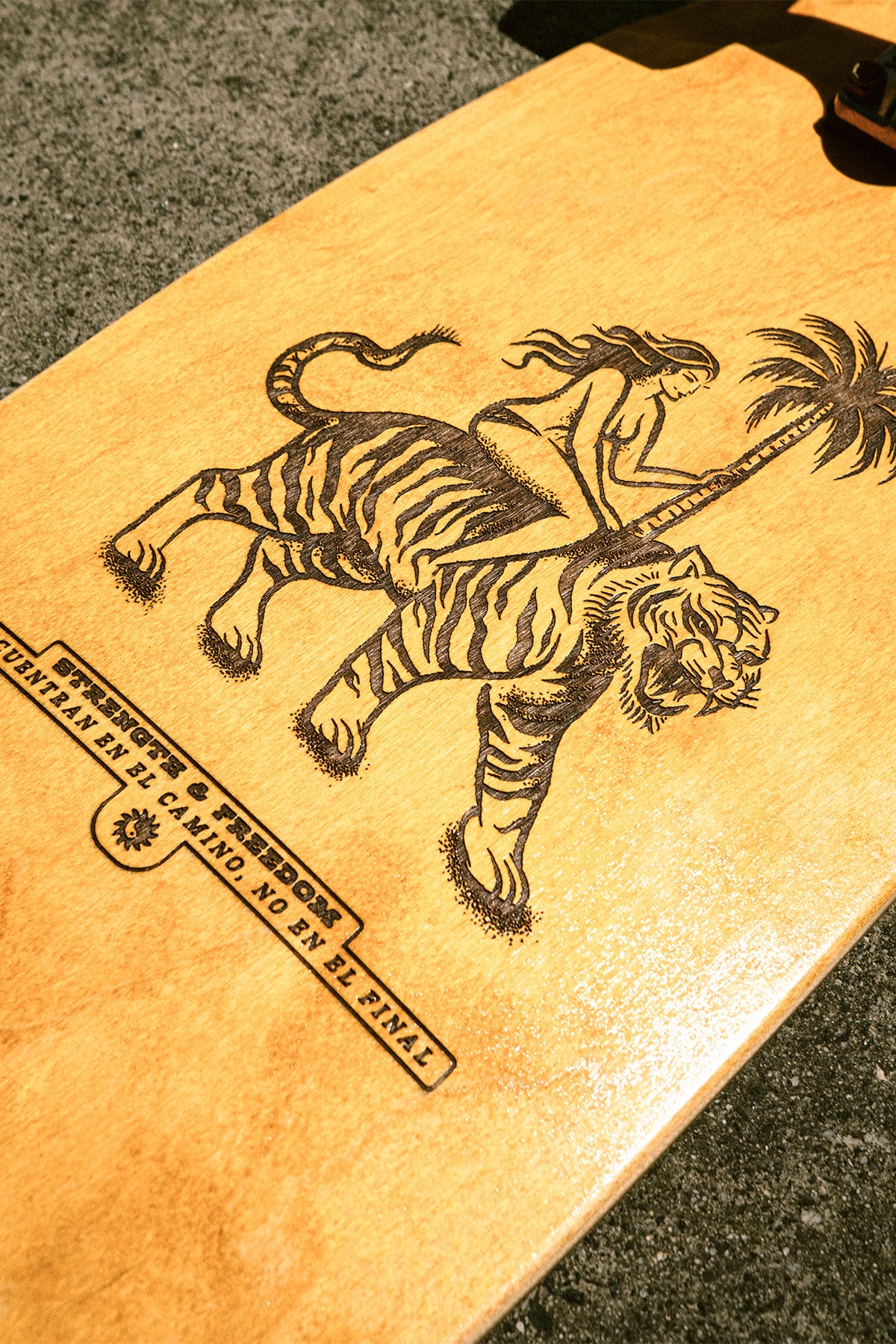 globe-sun-city-30-cruiserboard-completo-la-tigra image 4